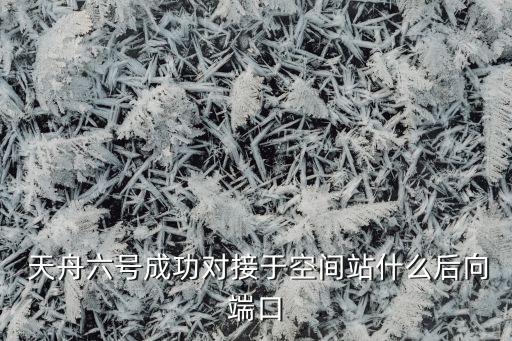 廣州天舟國(guó)際貨運(yùn)代理有限公司,廣州法斯特國(guó)際貨運(yùn)代理有限公司