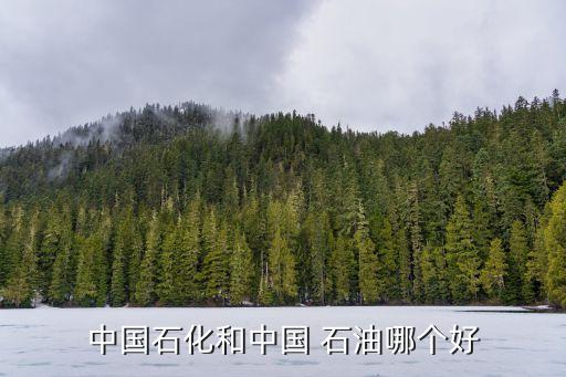 石油開采類的龍頭公司,開采石油游戲