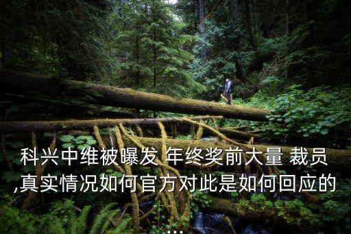 科興中維被曝發(fā) 年終獎前大量 裁員,真實情況如何官方對此是如何回應的...