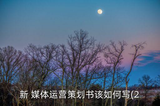 新 媒體運(yùn)營(yíng)策劃書該如何寫(2