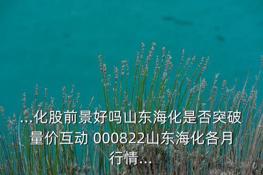 ...化股前景好嗎山東?；欠裢黄屏績r(jià)互動 000822山東?；髟滦星?..