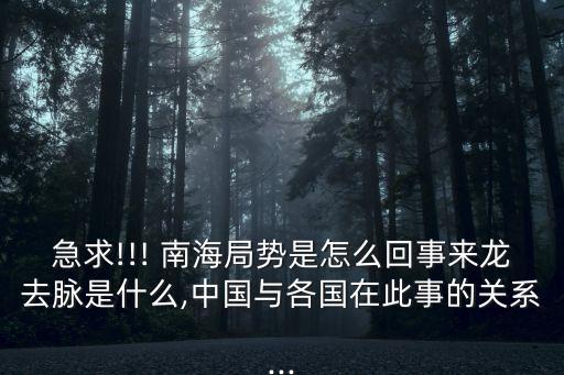 急求!!! 南海局勢是怎么回事來龍去脈是什么,中國與各國在此事的關(guān)系...