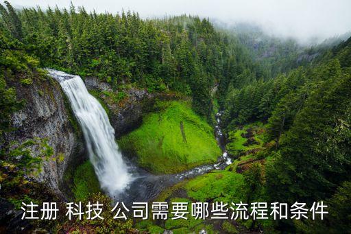 科技公司設(shè)立,中國科技公司100強