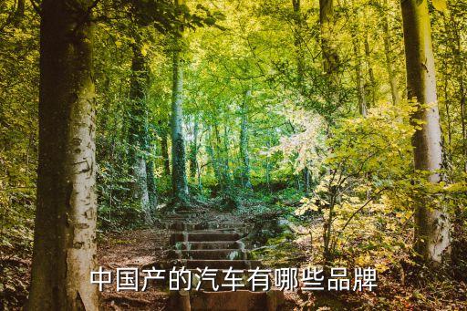 中國產的汽車有哪些品牌