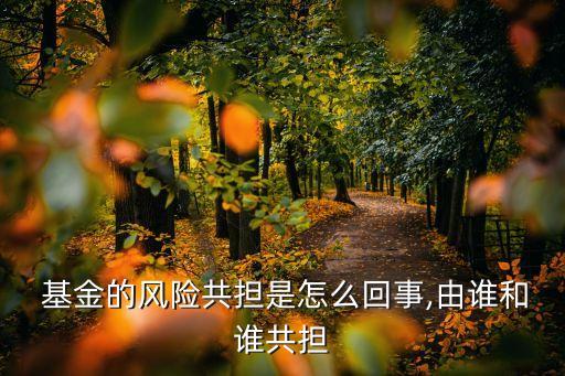 基金業(yè)績波動(dòng),2022基金業(yè)績排行榜