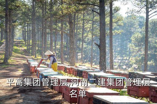 河南平高集團(tuán)管理層,河南二建集團(tuán)管理層名單