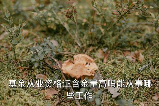  基金從業(yè)資格證含金量高嗎能從事哪些工作