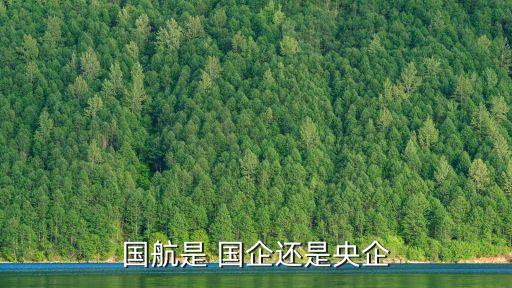 國航是 國企還是央企