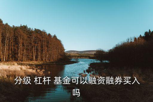  分級(jí) 杠桿 基金可以融資融券買入嗎
