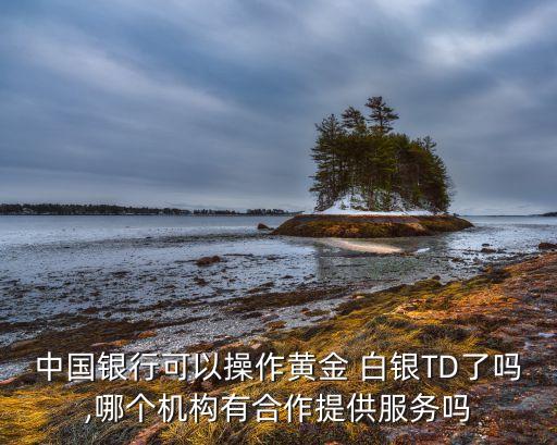 中國(guó)銀行可以操作黃金 白銀TD了嗎,哪個(gè)機(jī)構(gòu)有合作提供服務(wù)嗎