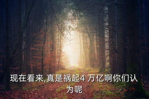 現(xiàn)在看來,真是禍起4 萬億啊你們認為呢