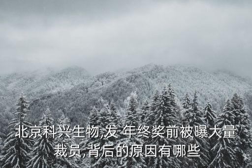 北京科興生物,發(fā) 年終獎前被曝大量 裁員,背后的原因有哪些