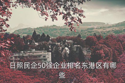 日照港有限公司
