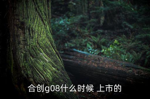 合創(chuàng)g08什么時候 上市的