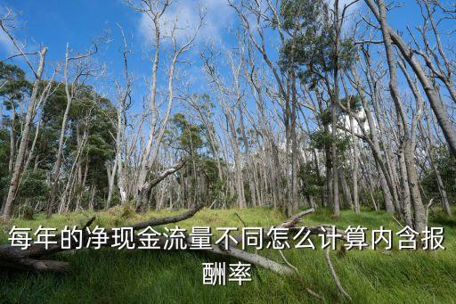 公司內(nèi)部收益率預(yù)測(cè),IRR內(nèi)部收益率怎樣計(jì)算出來
