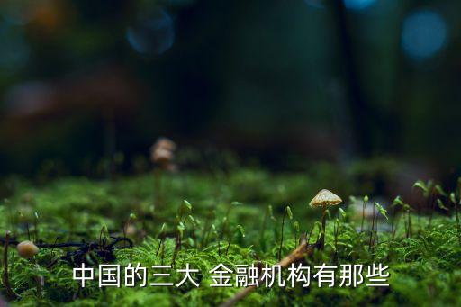 中國的三大 金融機構有那些