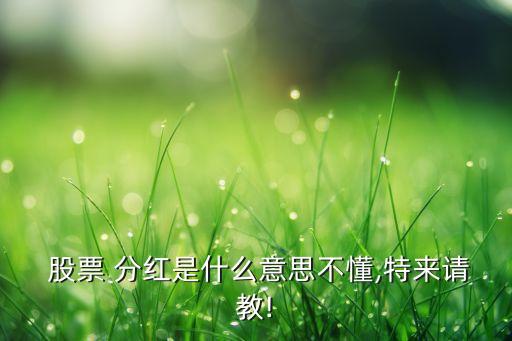  股票 分紅是什么意思不懂,特來請教!