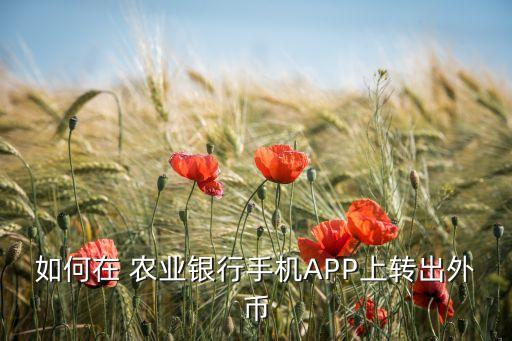 農業(yè)銀行外匯賬戶