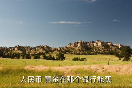 人民幣 黃金在那個(gè)銀行能買(mǎi)