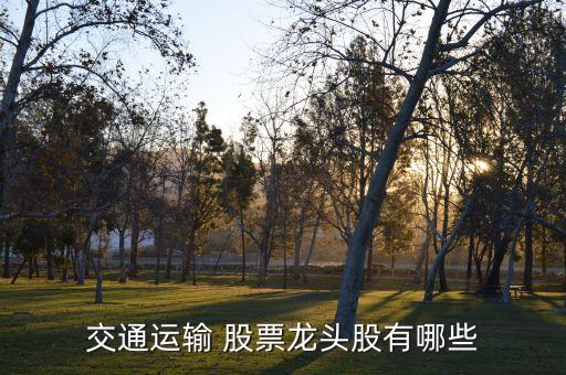 鐵龍物流股票走勢,中古物流股票走勢