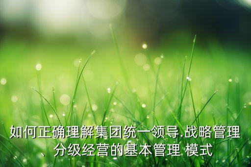 如何正確理解集團(tuán)統(tǒng)一領(lǐng)導(dǎo).戰(zhàn)略管理、分級(jí)經(jīng)營的基本管理 模式