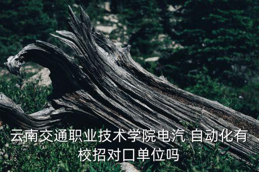 云南交通職業(yè)技術(shù)學院電汽 自動化有校招對囗單位嗎