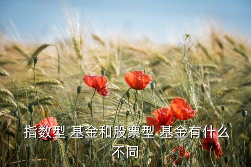  指數(shù)型 基金和股票型 基金有什么不同