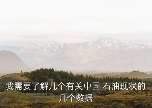 我需要了解幾個(gè)有關(guān)中國(guó) 石油現(xiàn)狀的幾個(gè)數(shù)據(jù)