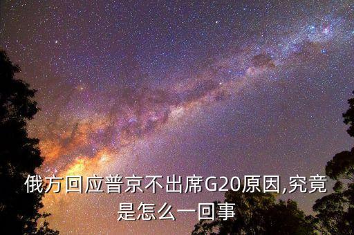 2014二十國集團領導人峰會