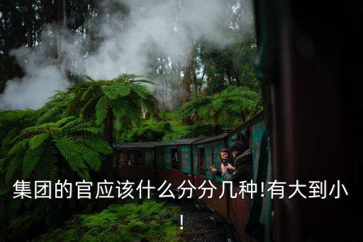 集團的官應(yīng)該什么分分幾種!有大到小!