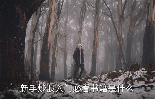 新手炒股入門必看書(shū)籍是什么