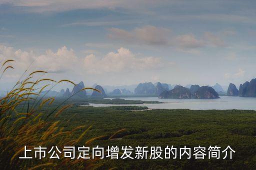 上市公司定向增發(fā)新股的內(nèi)容簡(jiǎn)介