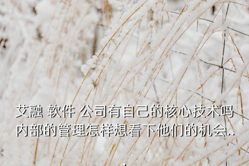 艾融 軟件 公司有自己的核心技術嗎內部的管理怎樣想看下他們的機會...
