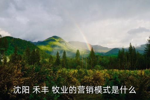 沈陽(yáng) 禾豐 牧業(yè)的營(yíng)銷(xiāo)模式是什么