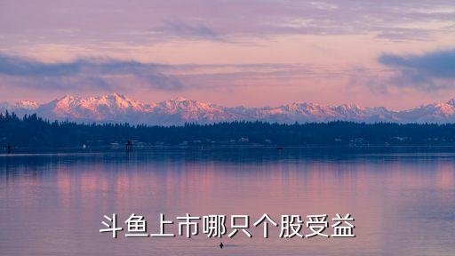 游久時代上海,上海游久股票