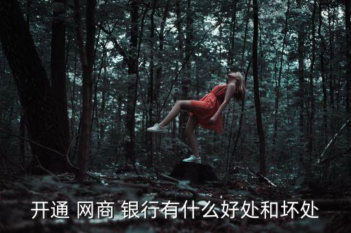開通 網(wǎng)商 銀行有什么好處和壞處