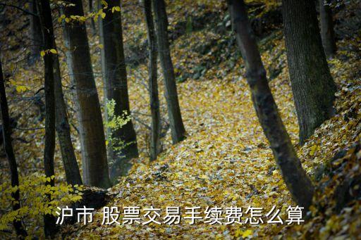 上海股票過(guò)戶(hù)費(fèi)怎么收,股票過(guò)戶(hù)費(fèi)只有上海收嗎