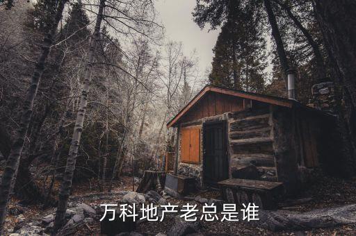 天津萬科興業(yè)集團(tuán)有限公司董事長(zhǎng),天津興業(yè)置業(yè)集團(tuán)有限公司