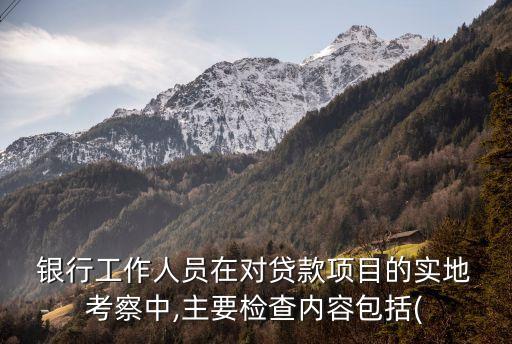  銀行工作人員在對貸款項(xiàng)目的實(shí)地 考察中,主要檢查內(nèi)容包括(