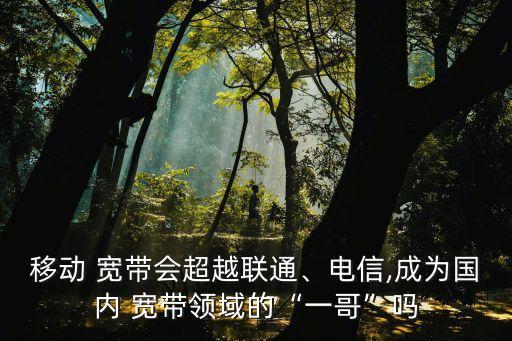 移動 寬帶會超越聯(lián)通、電信,成為國內(nèi) 寬帶領(lǐng)域的“一哥”嗎