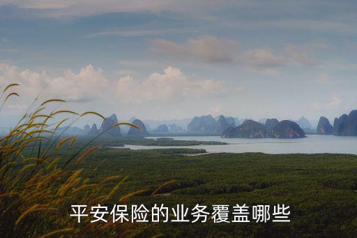  平安保險(xiǎn)的業(yè)務(wù)覆蓋哪些
