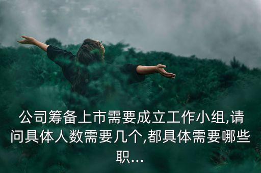  公司籌備上市需要成立工作小組,請問具體人數(shù)需要幾個(gè),都具體需要哪些職...