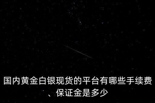 北京中能國投