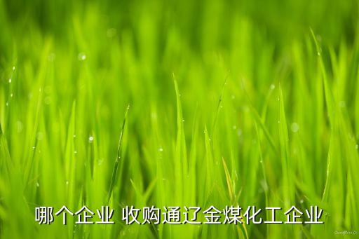 哪個(gè)企業(yè) 收購?fù)ㄟ|金煤化工企業(yè)