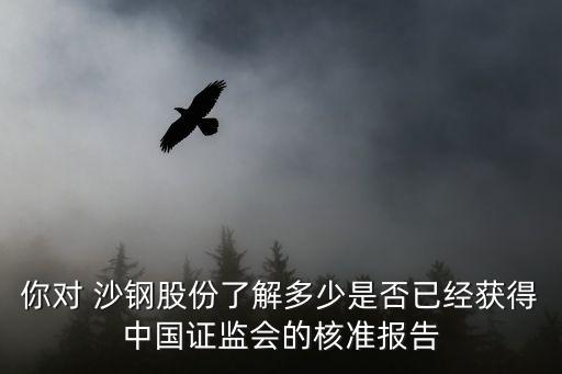 你對(duì) 沙鋼股份了解多少是否已經(jīng)獲得中國證監(jiān)會(huì)的核準(zhǔn)報(bào)告