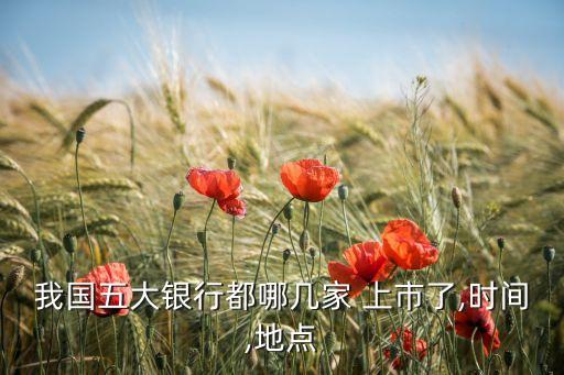 我國(guó)五大銀行都哪幾家 上市了,時(shí)間,地點(diǎn)