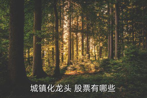 城鎮(zhèn)化龍頭 股票有哪些