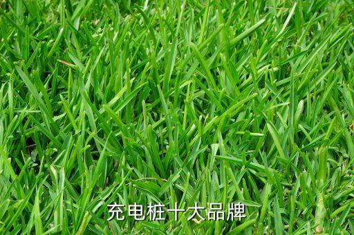 充電樁十大品牌