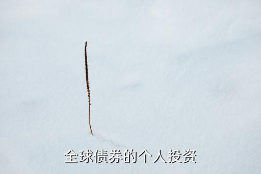 全球債券的個(gè)人投資