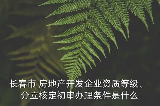 長春市 房地產(chǎn)開發(fā)企業(yè)資質(zhì)等級、 分立核定初審辦理條件是什么